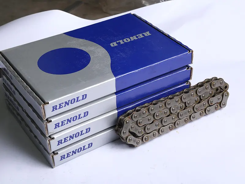 Main chain of RENORD