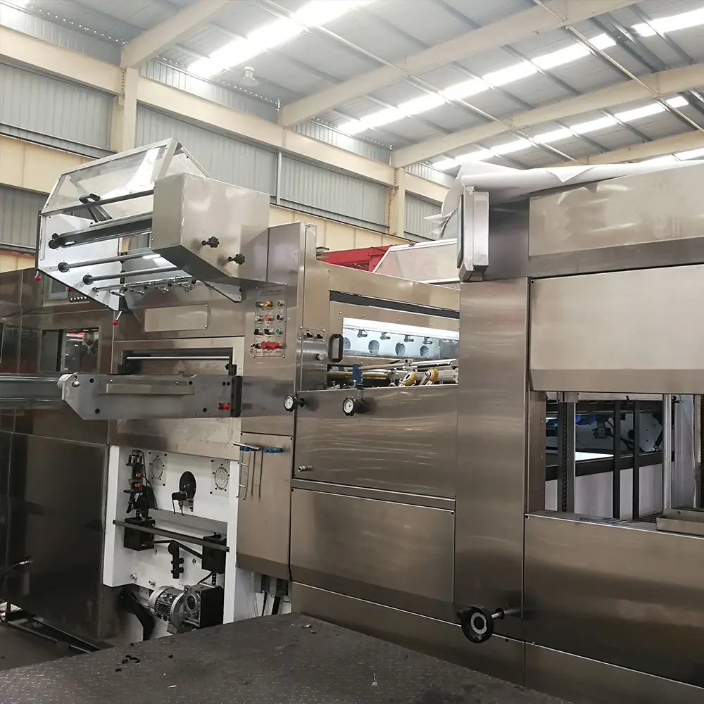 1320 Automatic Three Longitudinal And Two Lateral Foil Stamping Machine (7).jpg